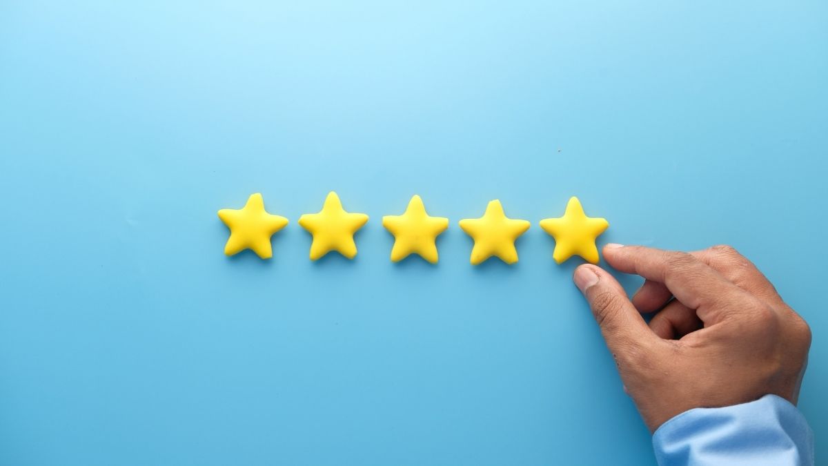 avis google pour le seo local