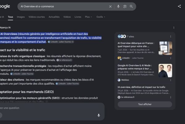 e commerce et ai overview