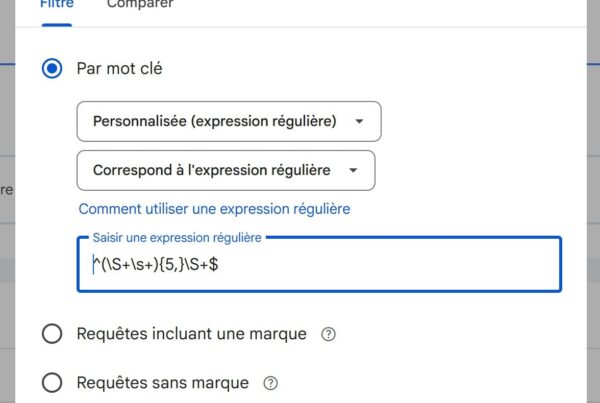 choisir un panier de prompt avec search console